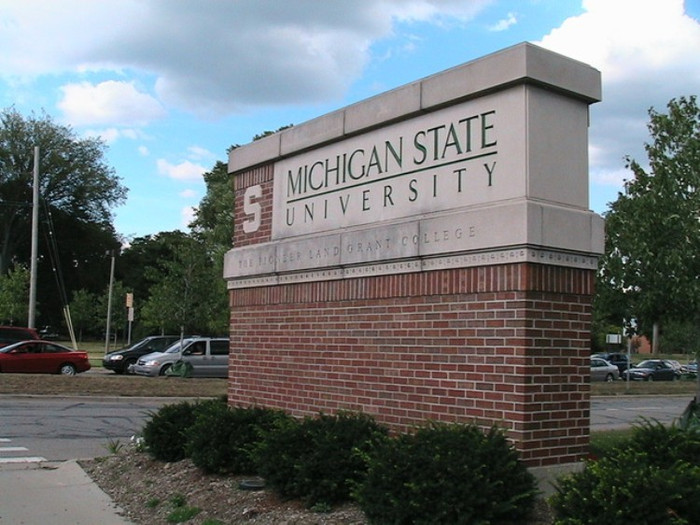 73. Michigan State University, United States 73. Michigan State University, United States