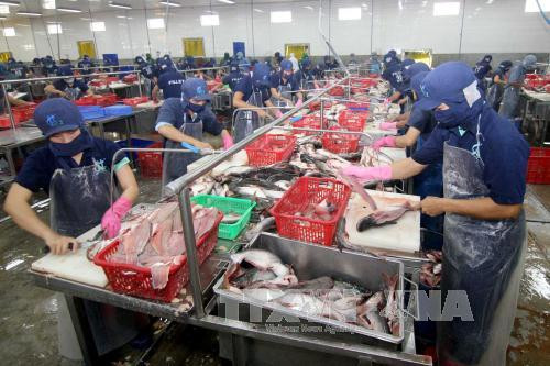 Cục An toàn thực phẩm cảnh báo ngộ độc thực phẩm mùa hè ảnh 3 Cục An toàn thực phẩm cảnh báo ngộ độc thực phẩm mùa hè ảnh 3