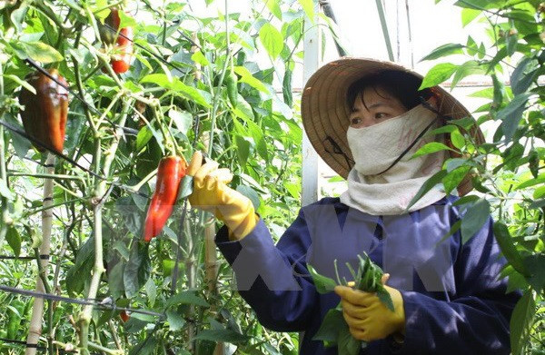 Trong mọi xã hội, người phụ nữ luôn cần được tôn trọng. ảnh: TTXVN. Trong mọi xã hội, người phụ nữ luôn cần được tôn trọng. ảnh: TTXVN.