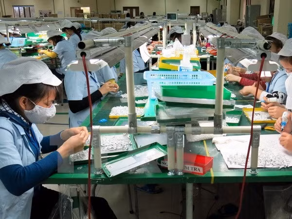 Vì sao có sự chồng chéo giữa công tác thanh tra và kiểm toán? ảnh 2