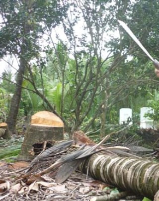 Hiện trường vụ tai nạn lao động (ảnh minh họa). Hiện trường vụ tai nạn lao động (ảnh minh họa).