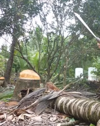 Hiện trường vụ tai nạn lao động (ảnh minh họa).