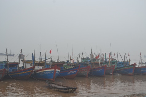 Khối lượng rác thải từ những mẻ đánh bắt hải sản mang từ biển mang vào đất liền là tương đối nhiều. Dù chưa có số liệu thống kê chi tiết, nhưng hiện tại trên địa bàn xã Ngư Lộc có rất nhiều người thường xuyên mắc các chứng bệnh tiêu chảy, đau mắt, viêm đường hô hấp...