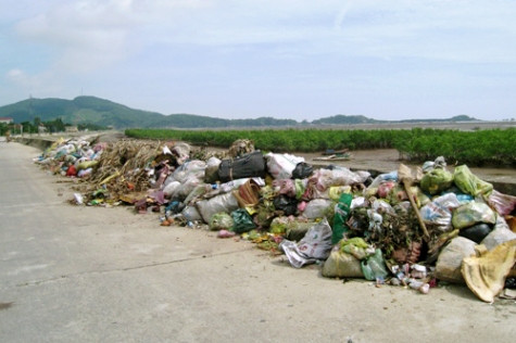 Rác thải được tập kết trên đê biển