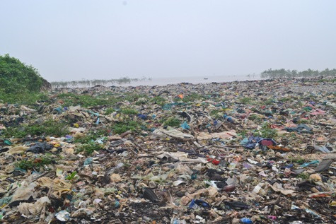 Hiện nay cả xã Ngư Lộc có 315 tàu, thuyền đánh bắt hải sản ngoài khơi, thu hút trên 2.500 lao động trực tiếp. Theo thống kê của UBND, mỗi ngày người dân Ngư Lộc thải ra môi trường gần 7 tấn rác thải rắn và tất cả đều đổ ra biển vì không có bãi rác tập trung.