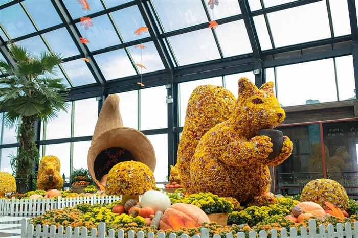 Show nghệ thuật “Bí ngô đại náo ở vương quốc Ánh Dương”. Show nghệ thuật “Bí ngô đại náo ở vương quốc Ánh Dương”.