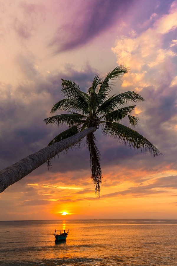 Vinpearl Phú Quốc được mệnh danh là “khu nghỉ dưỡng ngắm hoàng hôn đẹp nhất Việt Nam”. Vinpearl Phú Quốc được mệnh danh là “khu nghỉ dưỡng ngắm hoàng hôn đẹp nhất Việt Nam”.