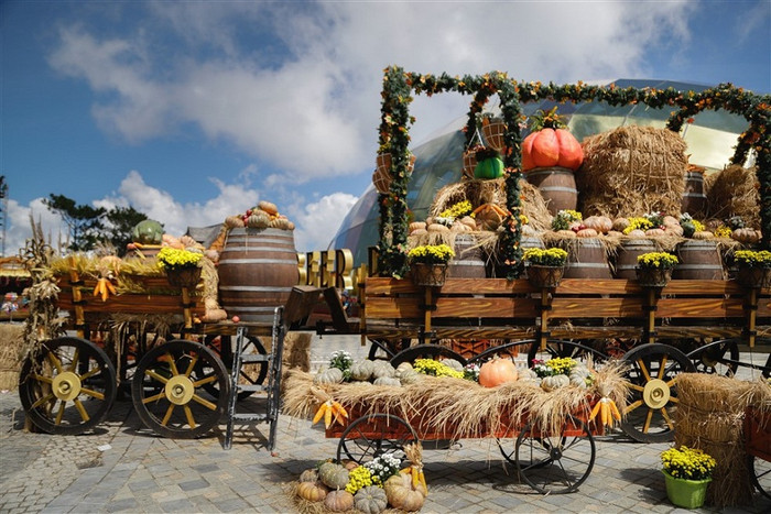 Xe thu hoạch bí ngô với đa dạng màu sắc và kích thước. Xe thu hoạch bí ngô với đa dạng màu sắc và kích thước.