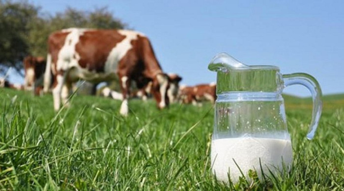 “Nuôi dưỡng từ thiên nhiên” giúp Cô Gái Hà Lan mang đến dòng sữa organic tốt lành. “Nuôi dưỡng từ thiên nhiên” giúp Cô Gái Hà Lan mang đến dòng sữa organic tốt lành.