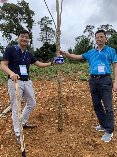 Được biết, đây là hoạt động ý nghĩa và có giá trị nhân dịp Lễ trồng cây thực hiện 50 năm di chúc của Chủ tịch Hồ Chí Minh.