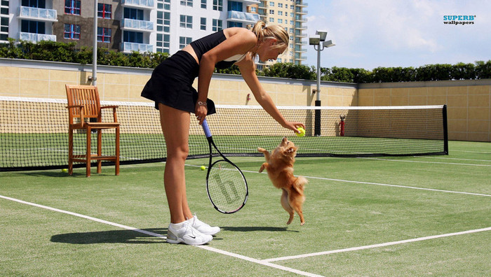 Tennis Nga đã sản sinh ra những VĐV xuất sắc và rất xinh đẹp. Maria Sharapova, đồng hương của Anna Kournikova, được gọi bằng cái tên thân mật “búp bê” bởi vẻ xinh xắn, ưa nhìn của mình. Tennis Nga đã sản sinh ra những VĐV xuất sắc và rất xinh đẹp. Maria Sharapova, đồng hương của Anna Kournikova, được gọi bằng cái tên thân mật “búp bê” bởi vẻ xinh xắn, ưa nhìn của mình.