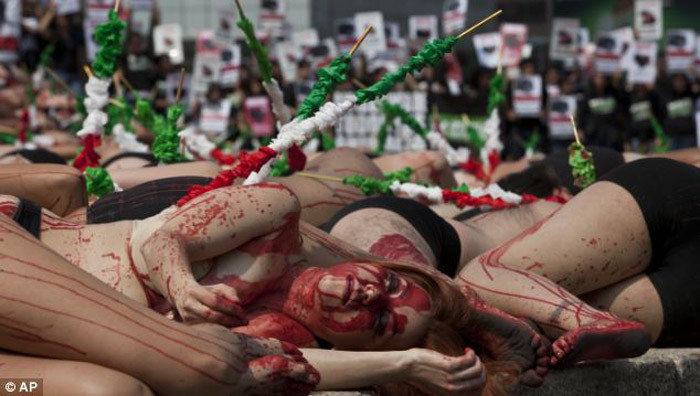 Hơn 250 nam nữ thanh niên Mexico đóng vai những chú bò tót bị giết chết. Họ cởi áo, bôi máu lên người và xiên lên người những thanh tre. Những thanh tre này vẫn thường được các võ sĩ đấu bò (matador) dùng để đánh, giết những chú bò tót trong các cuộc đấu bò. Hơn 250 nam nữ thanh niên Mexico đóng vai những chú bò tót bị giết chết. Họ cởi áo, bôi máu lên người và xiên lên người những thanh tre. Những thanh tre này vẫn thường được các võ sĩ đấu bò (matador) dùng để đánh, giết những chú bò tót trong các cuộc đấu bò.