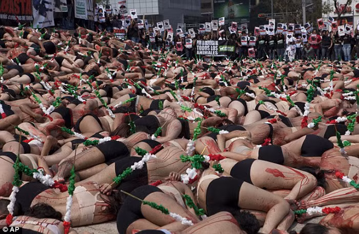 Cuộc biểu tình “đẫm máu” này diễn ra vào thứ Bảy tuần trước, bên ngoài Cung nghệ thuật Fine ở Mexico City.