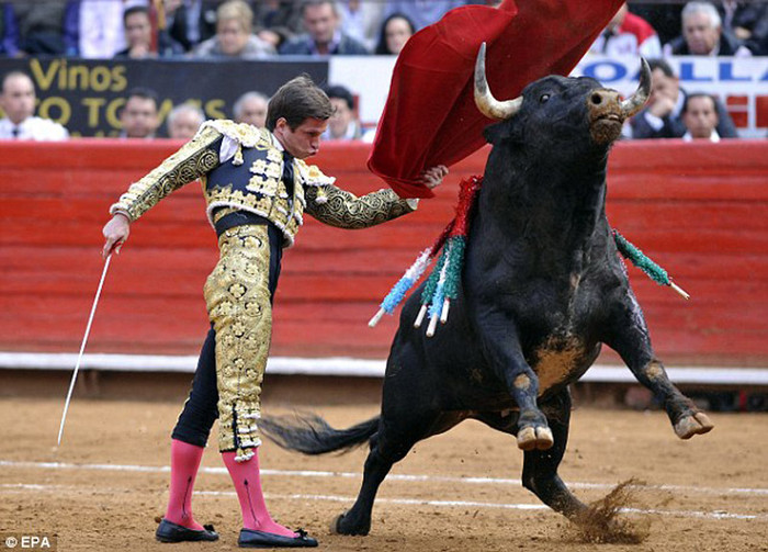 Các trận đấu bò tót luôn mang đậm tính chất bạo lực. Các trận đấu bò tót luôn mang đậm tính chất bạo lực.