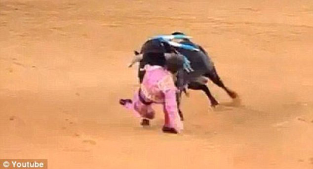 Juan Jose Padilla bị kéo lê trên nền đất. Xem lại clip cảnh tượng này, người xem không khỏi rùng mình.