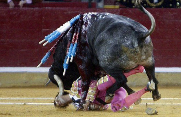 Cận cảnh tai nạn của Juan Jose Padilla. Matador 38 tuổi đã bị bò húc vào mặt.
