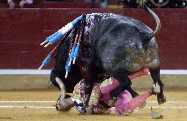 Cận cảnh tai nạn của Juan Jose Padilla. Matador 38 tuổi đã bị bò húc vào mặt.