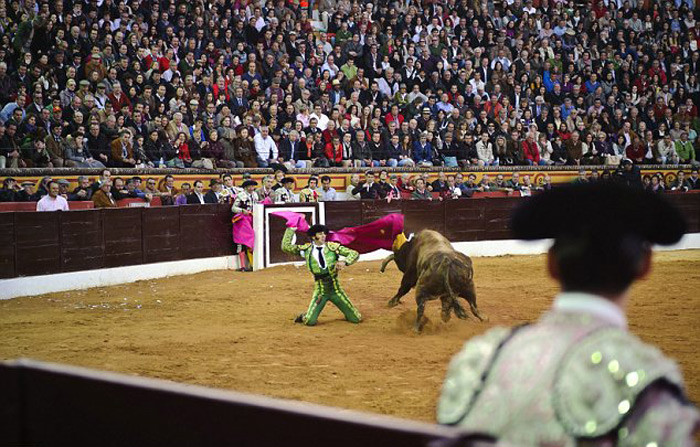 Một pha đấu mạo hiểm của Juan Jose Padilla.