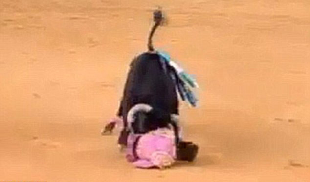 Juan Jose Padilla bị kéo lê trên nền đất. Xem lại clip cảnh tượng này, người xem không khỏi rùng mình.