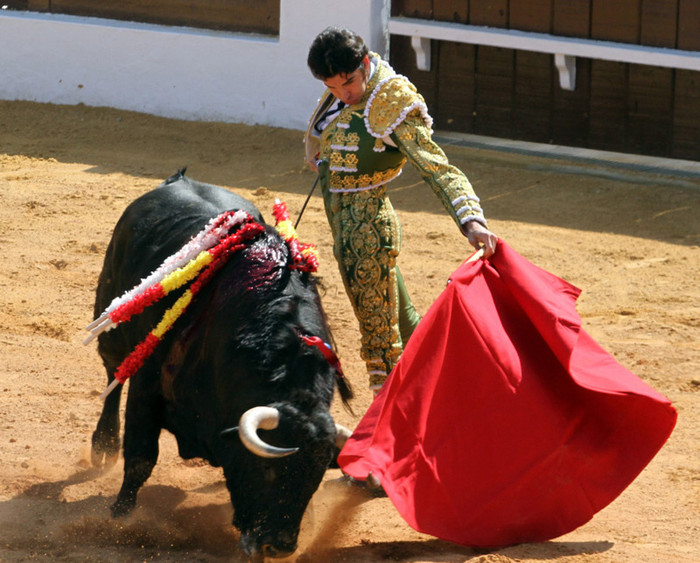 Juan không ngán đối thủ to lớn, dữ dằn.