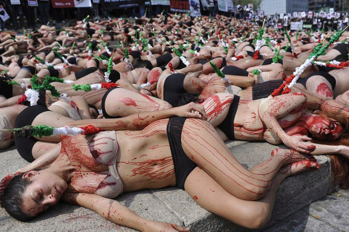 Đấu bò là môn thể thao bị rất nhiều người chỉ trích. Tháng 2/2012, khoảng 250 nam nữ thanh niên ở thủ đô Mexico của Mexico đã cùng nhau khỏa thân, bôi máu lên người và nằm giả chết như những con bò bị giết. Mục đích của những người trẻ tuổi yêu hòa bình này là chống lại môn thể thao đấu bò đầy màu sắc bạo lực.