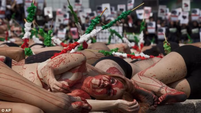 Đôi lúc, chính các võ sĩ đấu bò (matador) hoặc các khán giả hiếu kỳ lại trở thành nạn nhân, có người bị húc thủng bụng và thậm chí mất mạng. (Xem thêm hình ảnh)