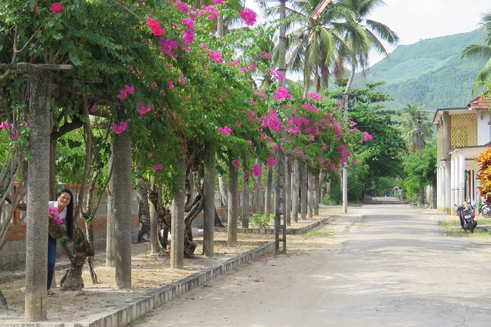 Đường vào làng phong xanh mát, rợp bóng cây và hoa. Đường vào làng phong xanh mát, rợp bóng cây và hoa.