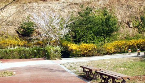 Khuôn viên trường bạt ngàn hoa lá, cây cỏ