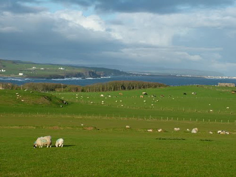 Một thoáng yên bình của “hòn ngọc lục bảo”. Một thoáng yên bình của “hòn ngọc lục bảo”.