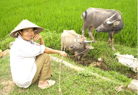 Những con người thuần nông đôn hậu, chất phác,...