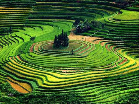 Thiên nhiên đẹp, giản dị và bình yên...