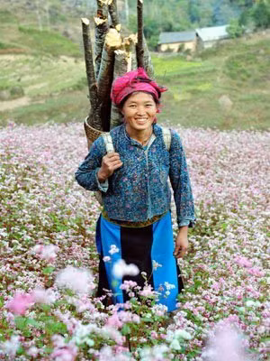 Thiếu nữ Mông trên cao nguyên đá Đồng Văn Thiếu nữ Mông trên cao nguyên đá Đồng Văn