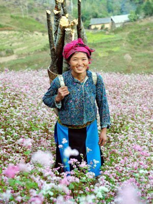 Thiếu nữ Mông trên cao nguyên đá Đồng Văn Thiếu nữ Mông trên cao nguyên đá Đồng Văn