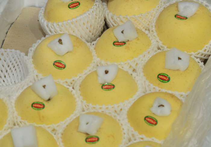 Những trái táo Aomori được chăm sóc kỹ lưỡng, chất lượng tuyệt hảo và hình thức rất bắt mắt.