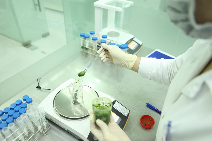 Các kiểm nghiệm viên đang thực hiện cân mẫu để phân tích.