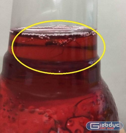 Dị vật được phát hiện trong chai nước Sting. ảnh: GDVN.