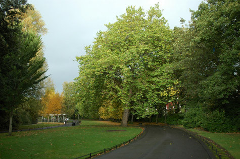 St. Stephen’s Green