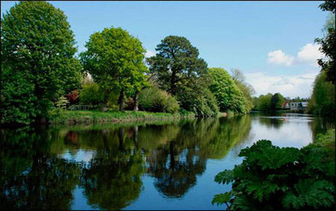 Bạn cũng sẽ có cơ hội tận hưởng phong cảnh tuyệt đẹp của công viên Fitzgerald với những tán cây mát mẻ, vòi nước và những khu vườn được chăm chút rất tỉ mỉ.