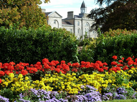 Khu vườn trong công viên với rất nhiều loài hoa rực rỡ Khu vườn trong công viên với rất nhiều loài hoa rực rỡ