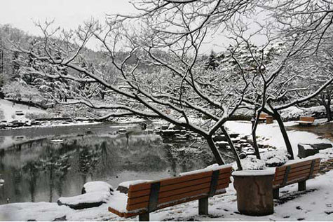 TRA CỨU ĐIỂM THI ĐẠI HỌC CAO ĐẲNG 2012 TRA CỨU ĐIỂM THI ĐẠI HỌC CAO ĐẲNG 2012