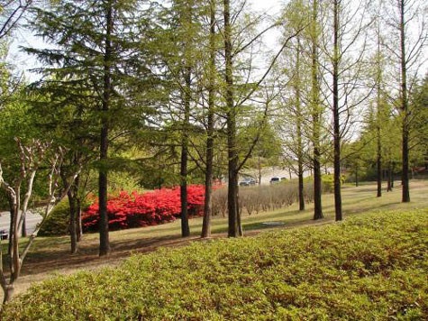 Với những ai đam mê chụp ảnh thì khung cảnh nơi đây hứa hẹn sẽ đem lại cho các bạn không ít những góc ảnh thật tuyệt vời dù là mùa nào trong năm. Ảnh: Mùa thu trong khuôn viên trường Với những ai đam mê chụp ảnh thì khung cảnh nơi đây hứa hẹn sẽ đem lại cho các bạn không ít những góc ảnh thật tuyệt vời dù là mùa nào trong năm. Ảnh: Mùa thu trong khuôn viên trường