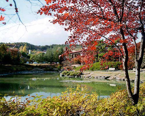 Khung cảnh nhìn từ ký túc xá Khung cảnh nhìn từ ký túc xá