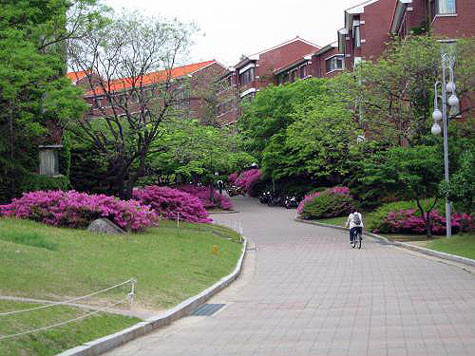 Còn gì thích hơn khi sau những giờ học tập căng thẳng, chúng ta được dạo bước trên những con dốc thoai thoải xanh mát bóng cây (tuyệt nhất là vào mùa thu các bạn ạ!), hay ngồi hóng mát ở những dãy ghế trong khuôn viên xanh mát của nhà trường, chẳng khác gì những cảnh trong phim đấy. Ảnh: Ký túc xá với những con dốc thoai thoải giống phim Hàn Quốc Còn gì thích hơn khi sau những giờ học tập căng thẳng, chúng ta được dạo bước trên những con dốc thoai thoải xanh mát bóng cây (tuyệt nhất là vào mùa thu các bạn ạ!), hay ngồi hóng mát ở những dãy ghế trong khuôn viên xanh mát của nhà trường, chẳng khác gì những cảnh trong phim đấy. Ảnh: Ký túc xá với những con dốc thoai thoải giống phim Hàn Quốc