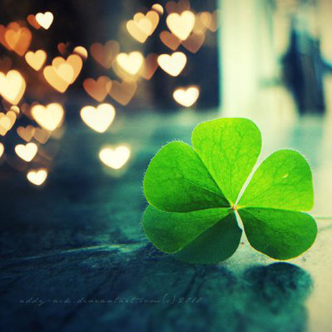 4 chiếc cánh tượng trưng cho sự trung thành, niềm hi vọng, tình yêu và may mắn.