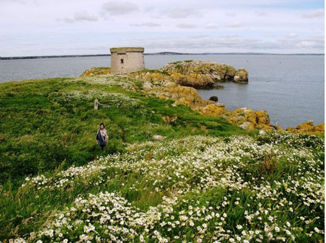 Ireland’s Eye ngập tràn hoa cỏ