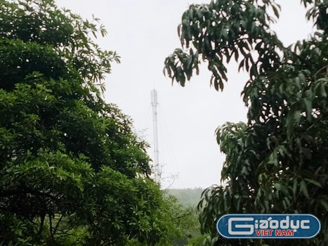 Trạm phát sóng đặt trên đồi Cò Cài vừa chính thức hoạt động từ hôm 1/11. Ảnh: Hữu Chí. Trạm phát sóng đặt trên đồi Cò Cài vừa chính thức hoạt động từ hôm 1/11. Ảnh: Hữu Chí.