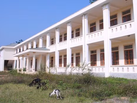 Nên sáp nhập các trường tiểu học dưới 10 lớp trong cùng một xã ảnh 2