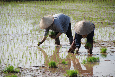 Nhà thơ Trần Đăng Khoa: Nông dân thời nào cũng khổ Nhà thơ Trần Đăng Khoa: Nông dân thời nào cũng khổ