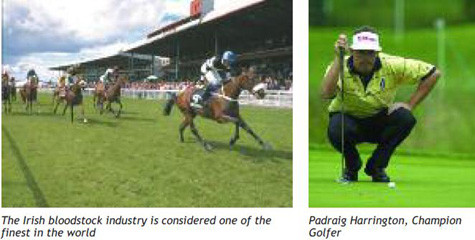 Ngựa thuần chủng của Ai Len được coi là tốt nhất thế giới & Padraig Harrington, Nhà vô định gôn Ngựa thuần chủng của Ai Len được coi là tốt nhất thế giới & Padraig Harrington, Nhà vô định gôn