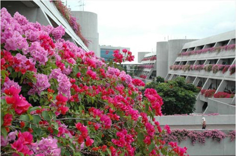 Ngôi trường phủ đầy cây cỏ và hoa lá Ngôi trường phủ đầy cây cỏ và hoa lá